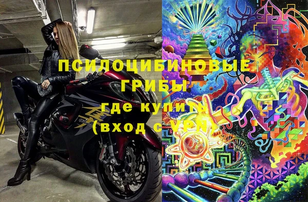 МДПВ Алексин