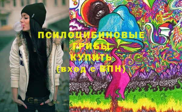 МДПВ Алексин