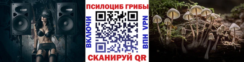 купить   Юрьевец  Галлюциногенные грибы мухоморы 